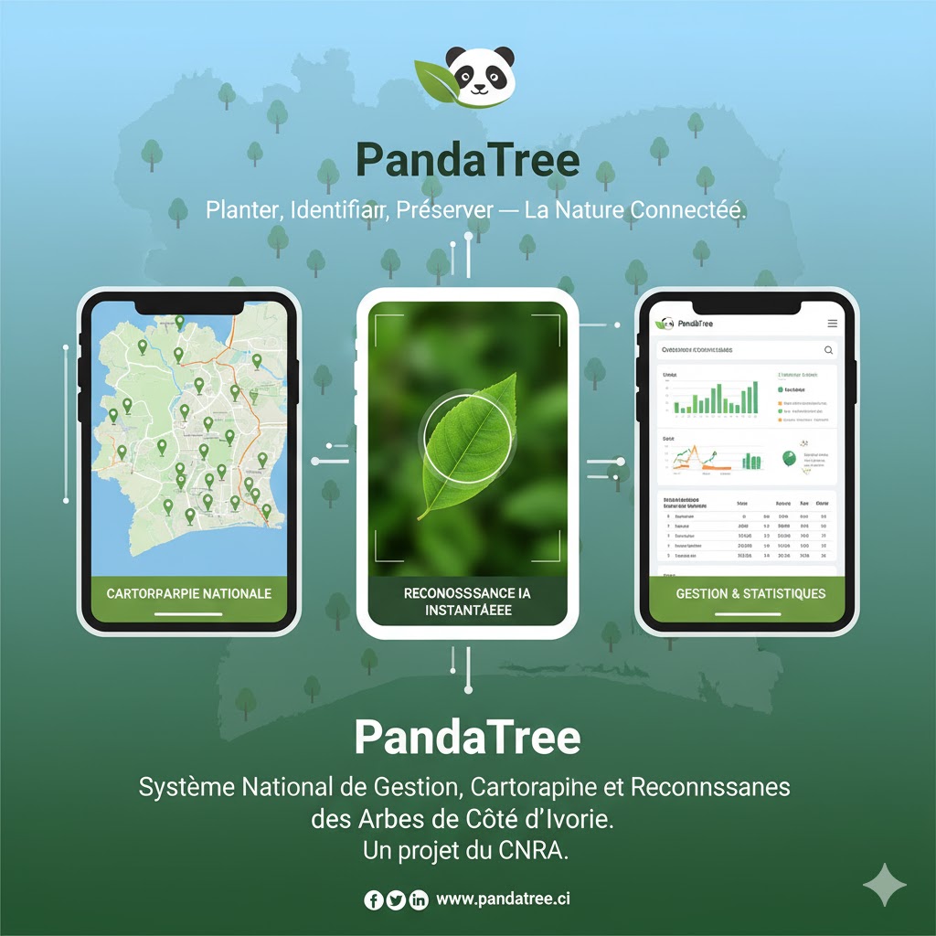 PandaTree